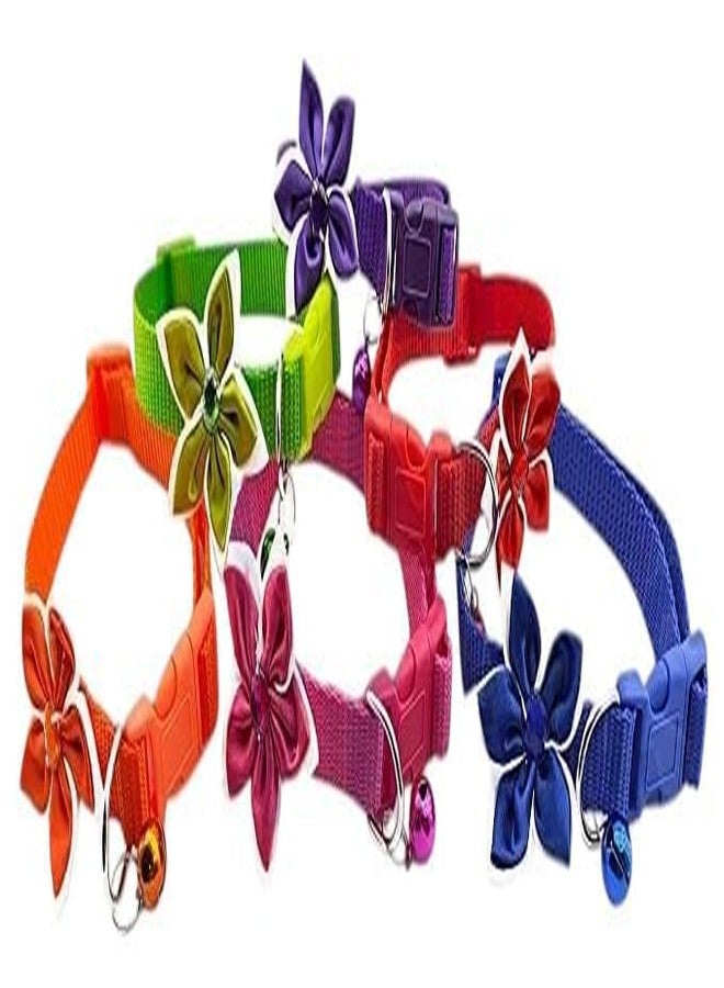 KittuPet مجموعة كيتو بيت من 3 قطع من أطواق بتصميم زهور، قابلة للعكس، تفاعلية، مناسبة للقطط والجراء والكلاب، مقاس 10 مم، لون عشوائي - Image 2